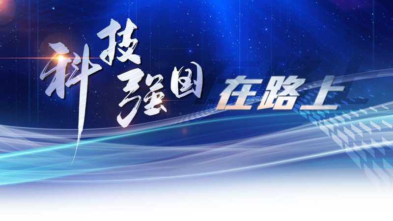 食品行业ERP解决方案：五大关键注意事项