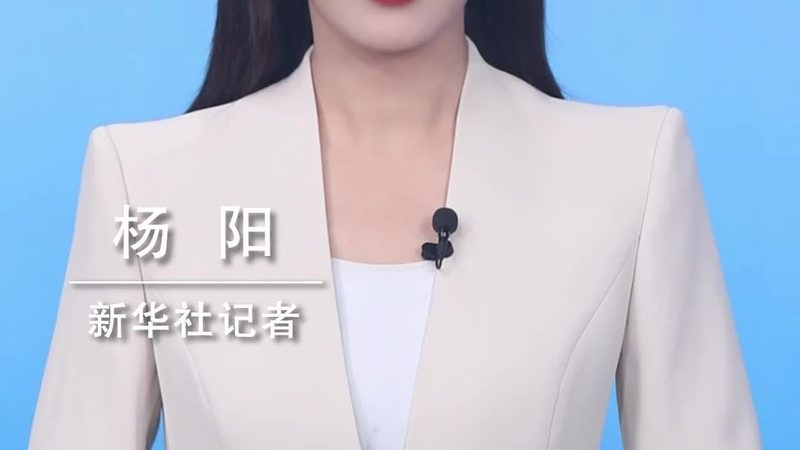 隐私计算软件定制开发的关键技术解析