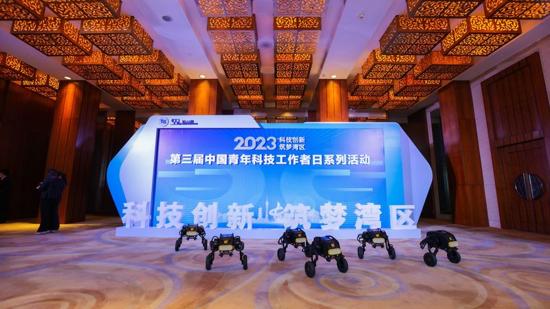 疫情数据可视化：如何构建高效的数据展示平台